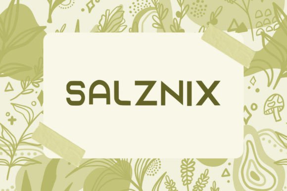 Salzaix: A Playful Display Font That Brings Personality to Real Branding Work